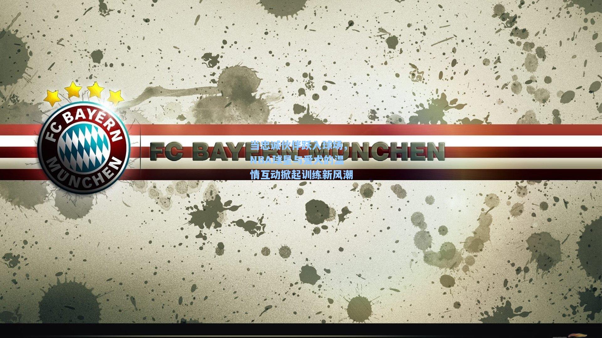 当忠诚伙伴跃入球场,NBA球星与爱犬的温情互动掀起训练新风潮